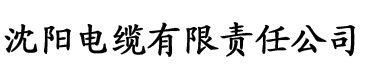 手机p2p种子搜索神器电缆厂logo